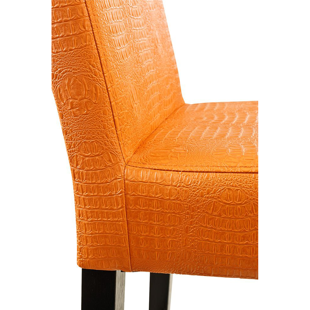 Beizton: Wenge/Bezug: Kroko-224x4282