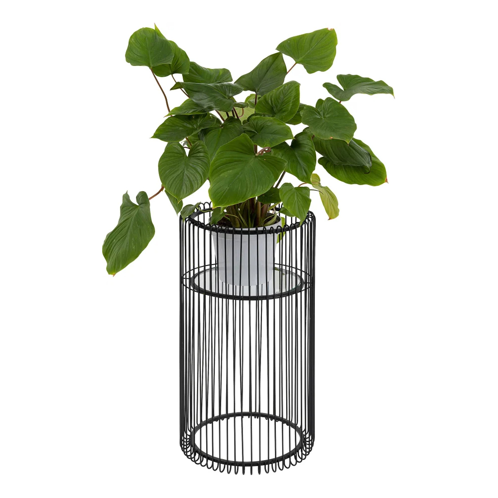 Pflanzenständer Wire Schwarz 70cm